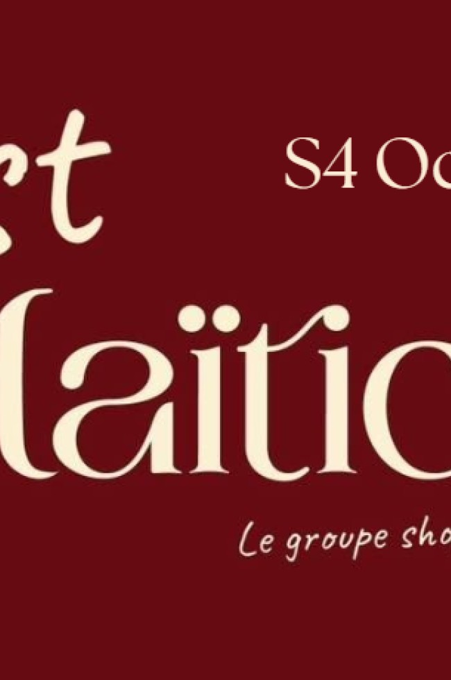 julie	pinchart S4 Octobre